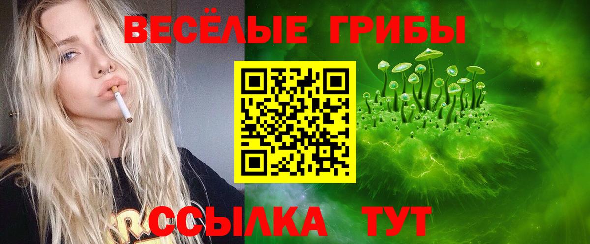 Кемерово  Псилоцибиновые грибы Psilocybe  Вход с VPN  Галлюциногенные грибы мухоморы 